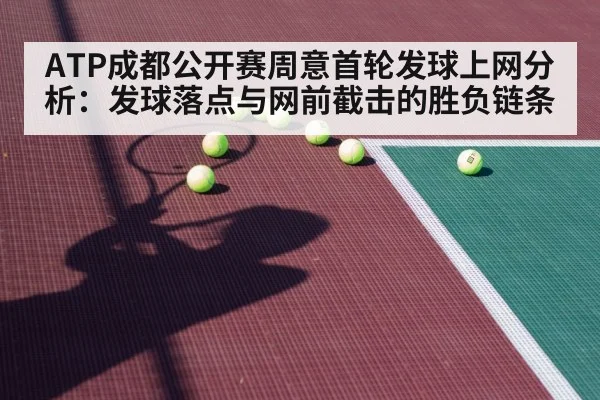 tennis hard court player